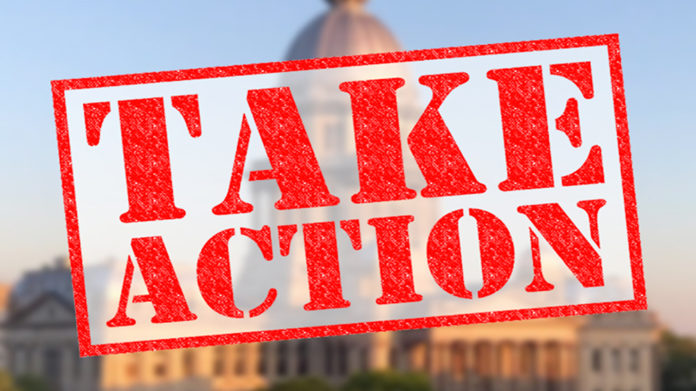 Take-Action-Large